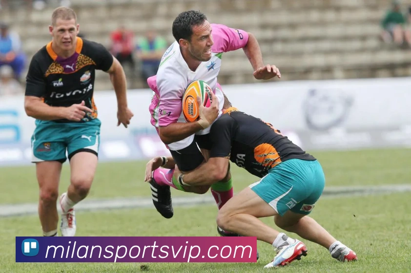 米兰体育平台生态图